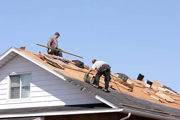 Best Roofing for New Construction  in Flatwoods, KY